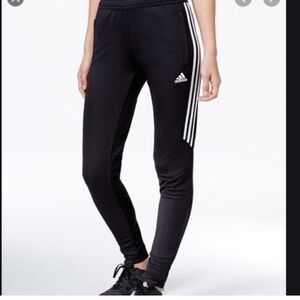 adidas Black Track Pants with White Three-Stripes